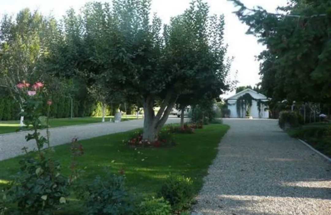 Cozy Rose Inn-1